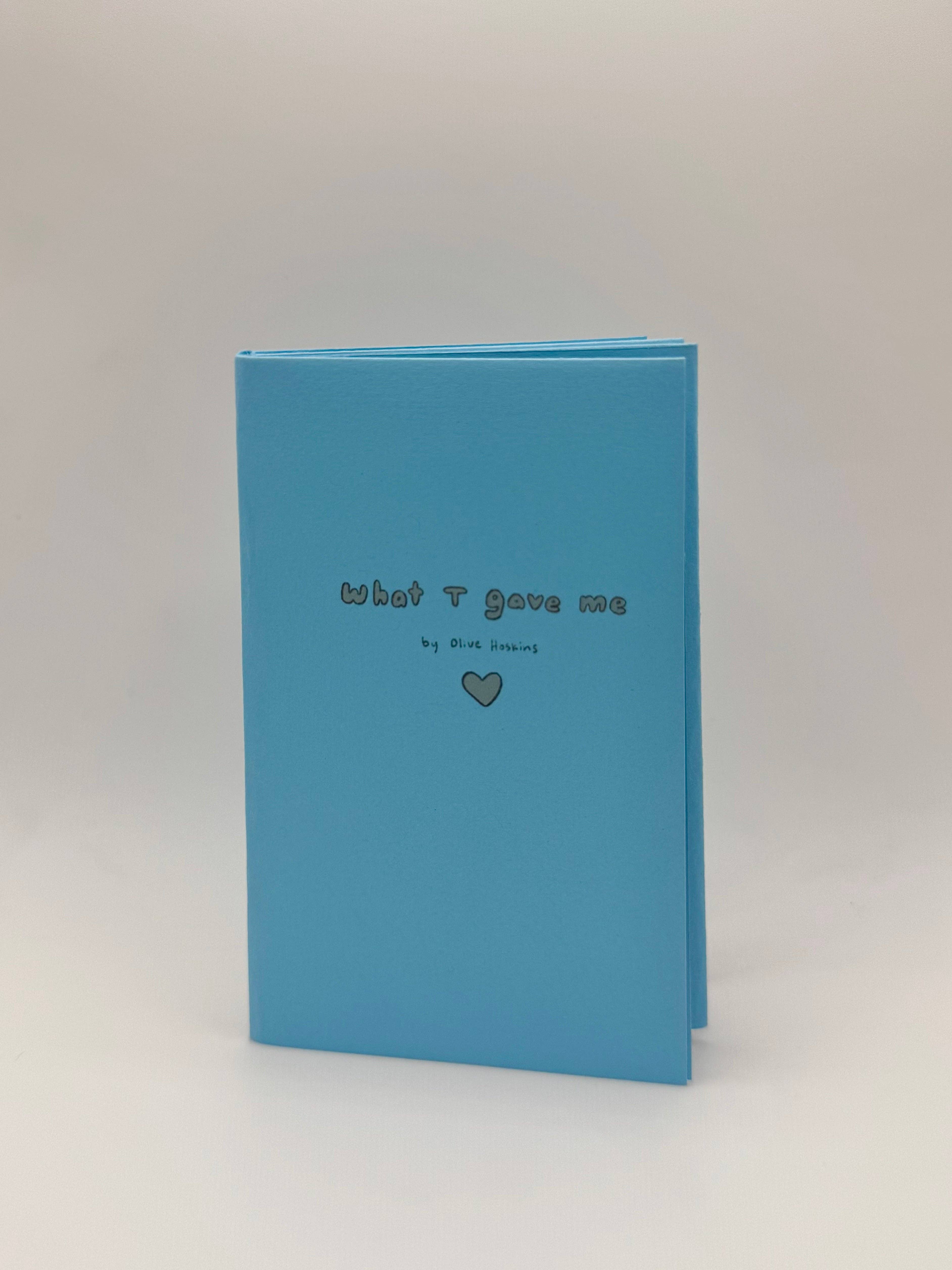 SoftBoysClub - Wholesale Magazine - HRT Zine1