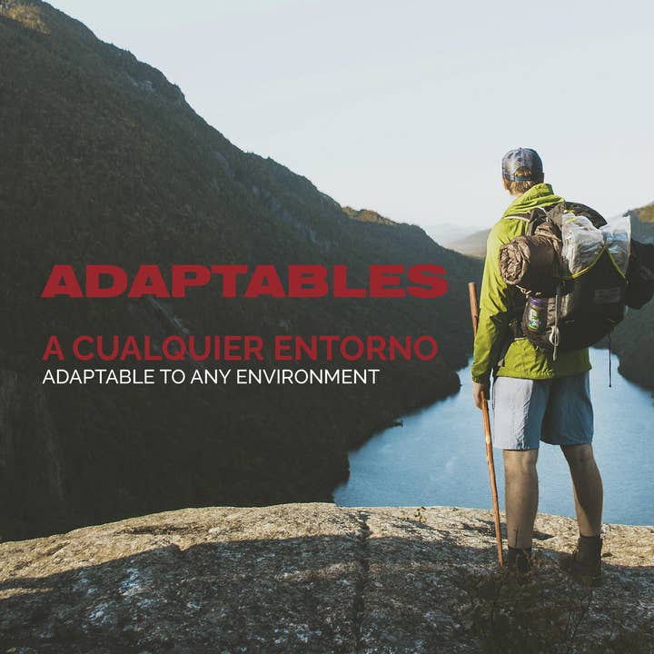 Segorbina BASTONES - Vendita all'ingrosso Accessori sportivi - Bastone da passeggio naturale4