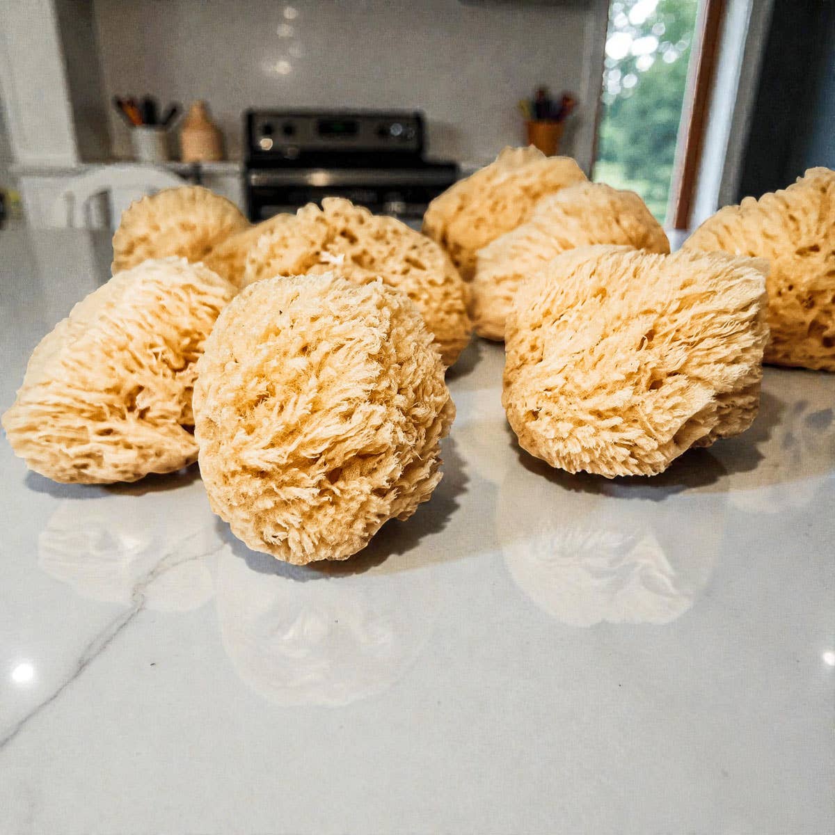 Gia Roma - Wholesale Bath Pouf/Sponge - Dead Sea Sponge, All Natural Body Wash Loofah 4-5"26