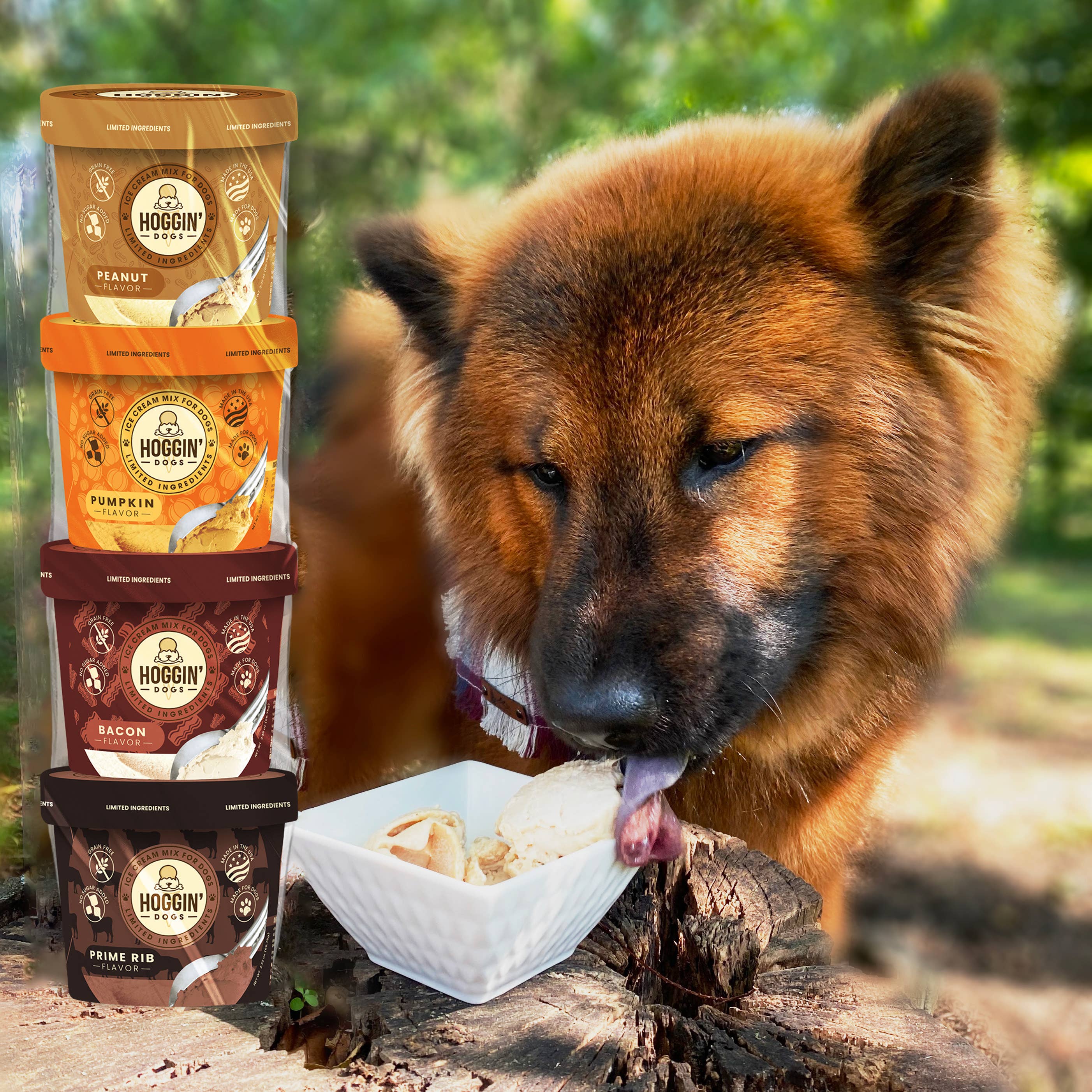 Puppy Cake LLC - Wholesale Pet Treats - Dog - Hoggin' Dogs Ice Cream Mix Sample Pack - All 4 Flavors13