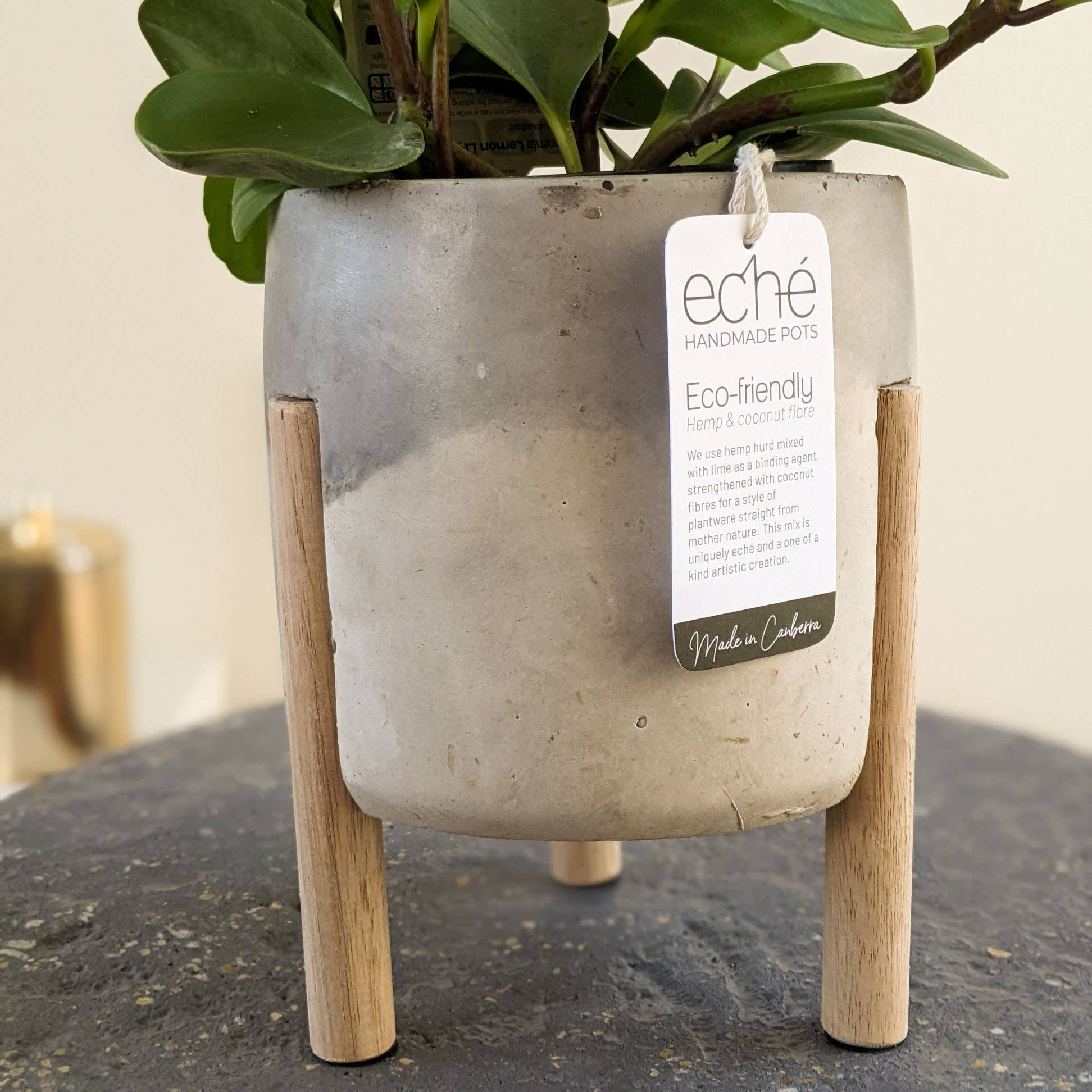 Eché pots - Wholesale Plant pot - Hemp & Coconut fibre 3-Leg Pot, Handcrafted in Australia7
