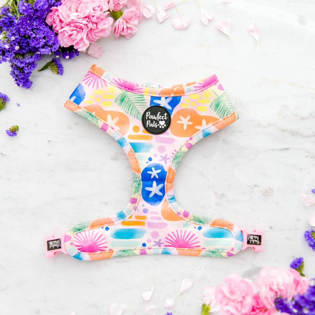 Pawfect Pals - Vendita all'ingrosso Pettorina - Cani - Got it Glowing On - Imbracatura reversibile2