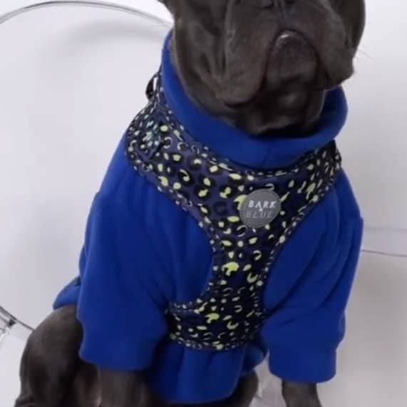 Blå Vattentålig hund fleece för wholesale av Bella Katee Pets