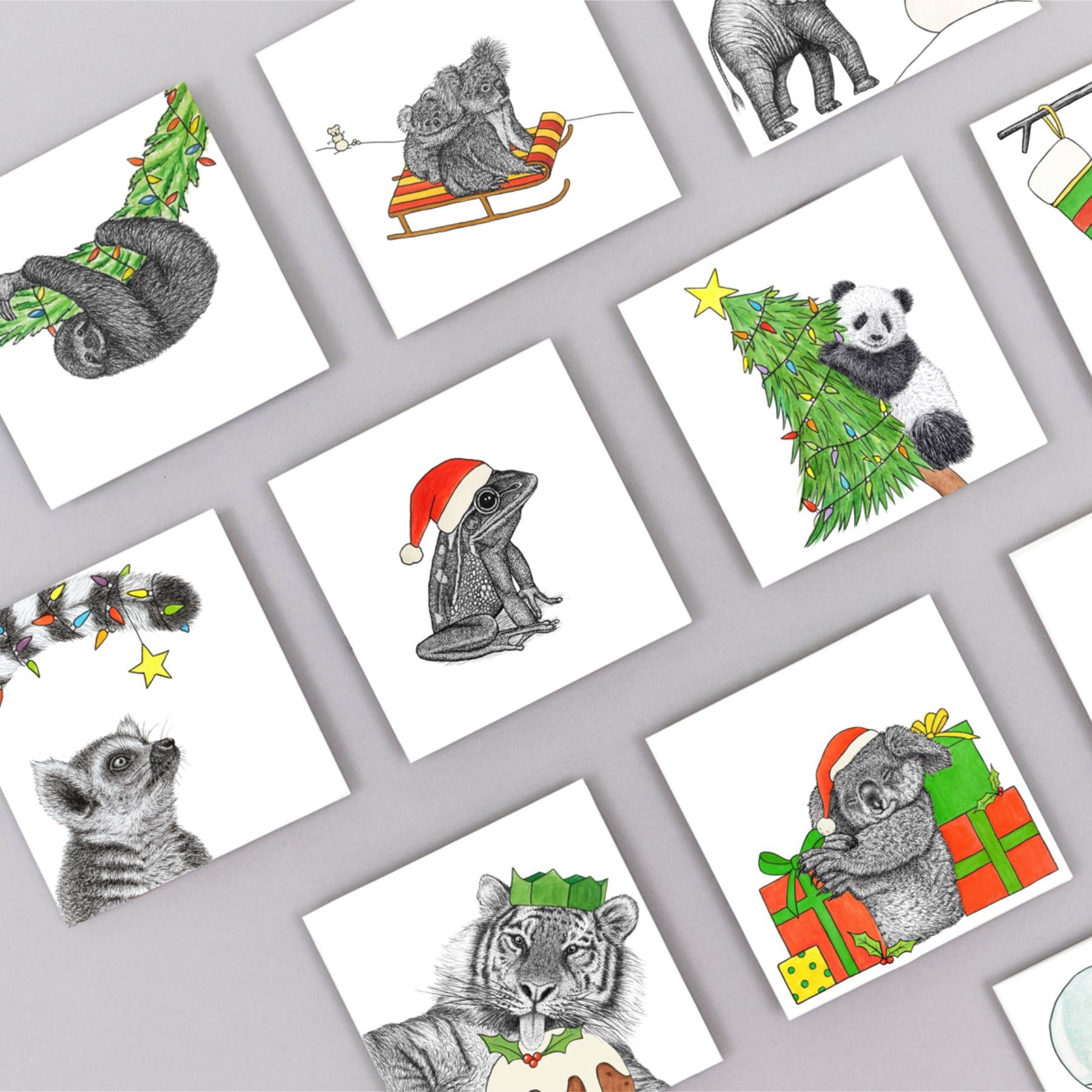 Wild Lines - Vendita all'ingrosso Biglietti di auguri di Natale - Biglietto di Natale con animali - Koala//Cartoline di Natale ecologiche2