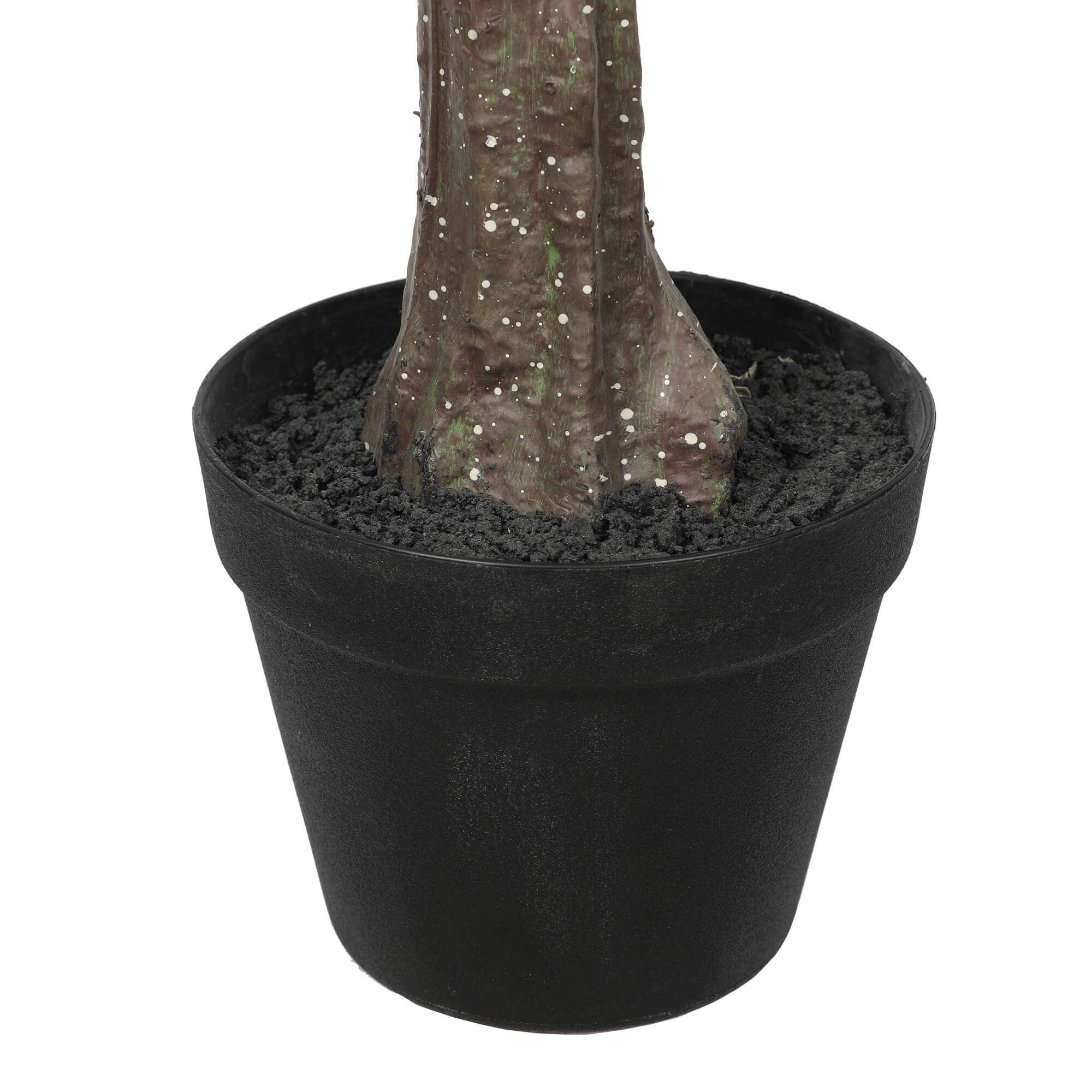 Designer Plants AU - Wholesale Artificial plant - Artificial Eucalyptus Tree (Red Box Eucalyptus Polyanthemos) 150cm4