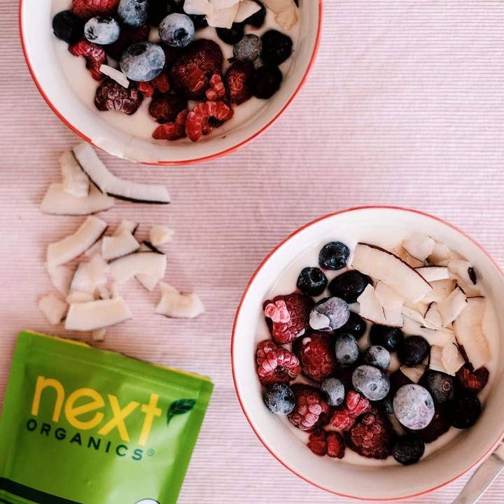 Next Organics – Großhandel Getrocknete/dehydrierte Früchte – Organische getrocknete Kokosnuss - 6