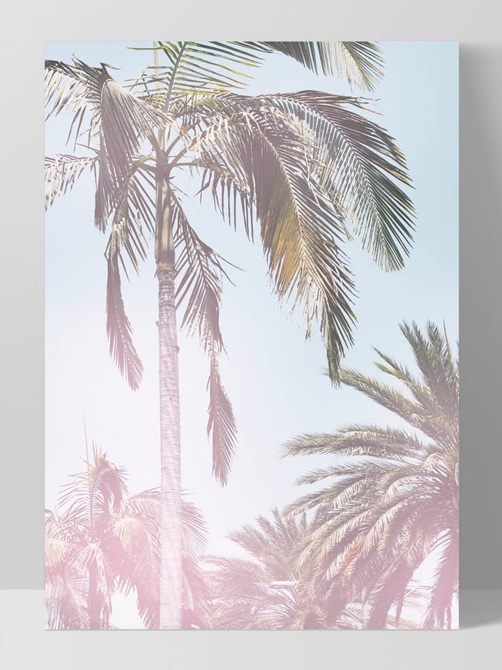 Art du palmier. Affiche côtière de Palm Springs en couleur pastel en Californie pour la vente par PRINT AND PROPER