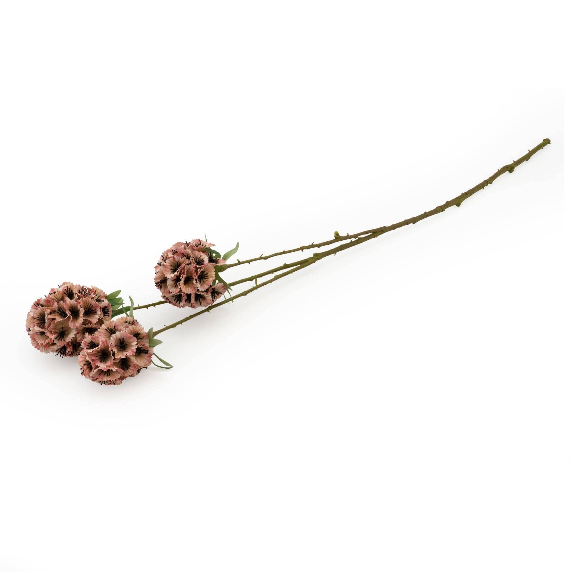 Candlelight Products Ltd - Wholesale Artificial Flowers - Scabiosa Stellata - Pink 61cm 12PK1