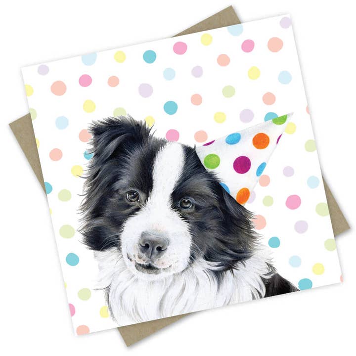 Birthday Card - Bennie the Border Collie for wholesale by Popcorn Blue