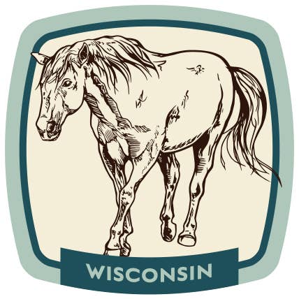 Counter Couture – Adesivo por atacado – Etiquetas de Nome de Cavalo | Personalizáveis2