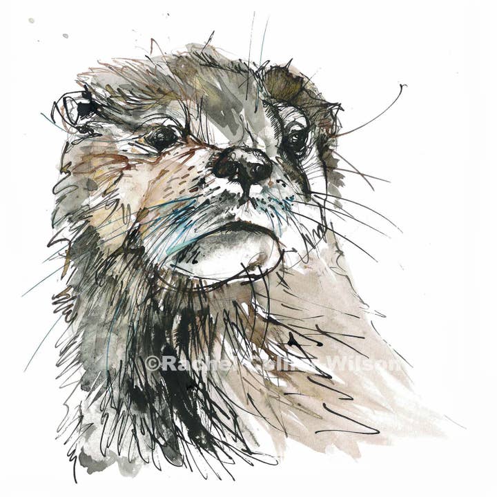 CreativeWithLine - Wholesale Everyday Greeting Card - Otter. Blank Card