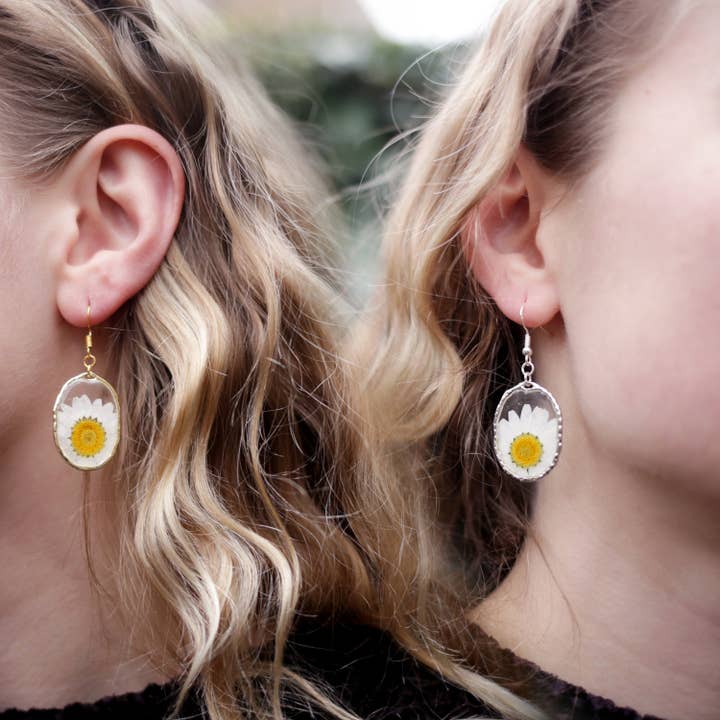 Oval Framed Daisy for wholesale by Nordic Flowers