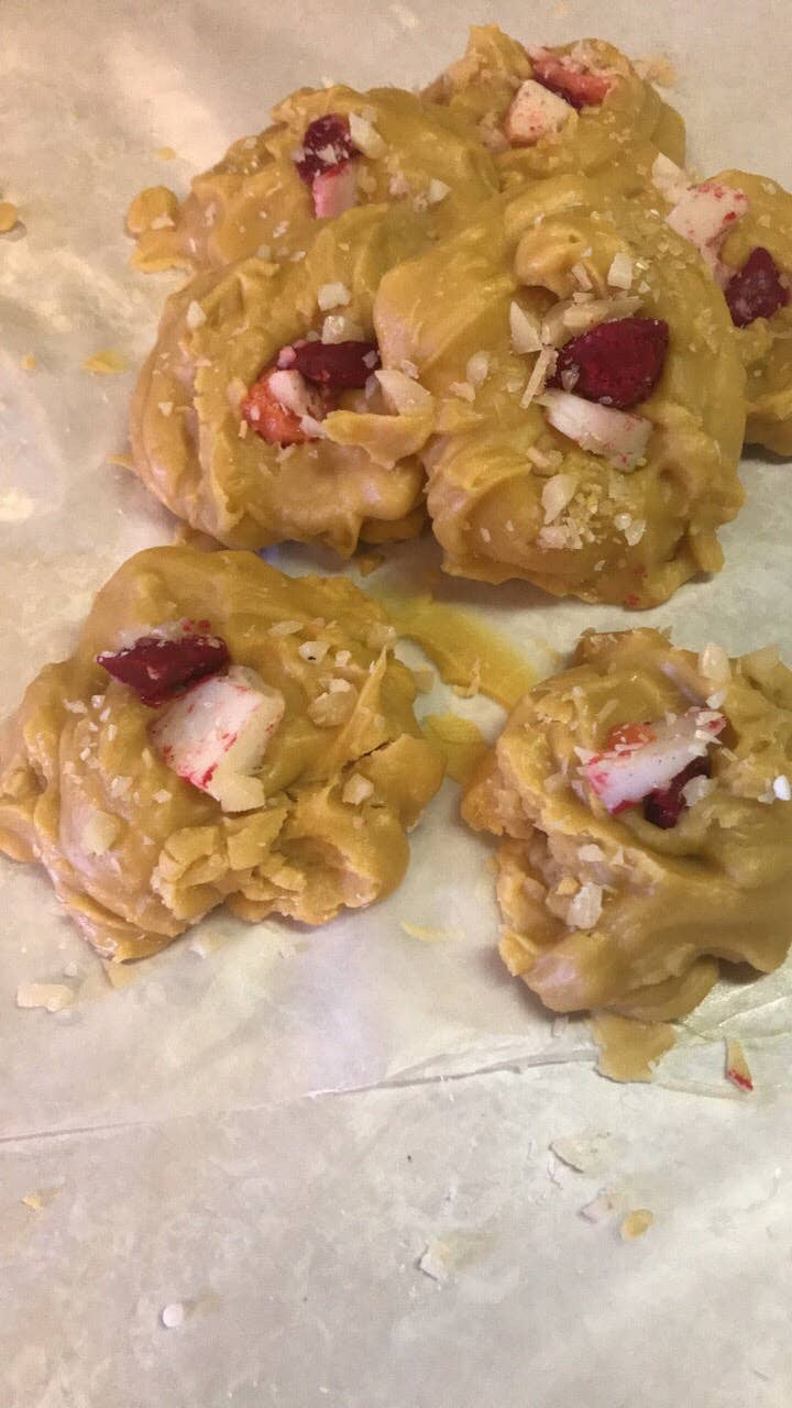 Frog on a Limb Primitives - Wholesale Wax Melt - Single Cookie wax melts7