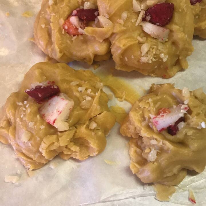 Frog on a Limb Primitives - Wholesale Wax Melt - Single Cookie wax melts7