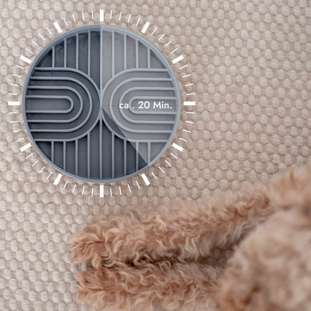 LOVIN'DOG - Vente Gamelle – chat et chien - Bol anti-glouton et tapis léchable antidérapant Greige 250 ml2