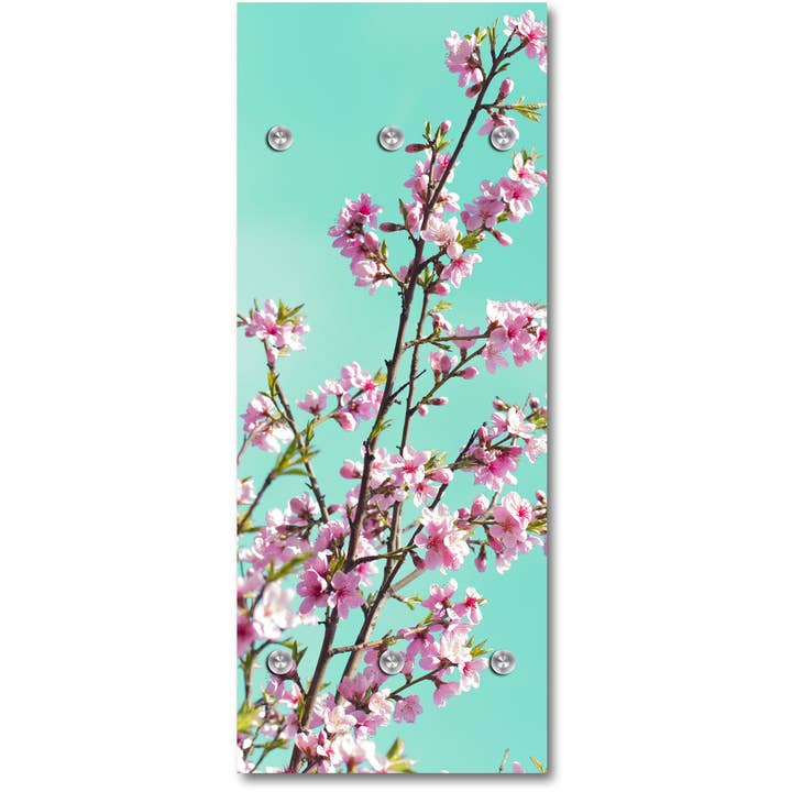 Armoire - Topan pour la vente par Queence