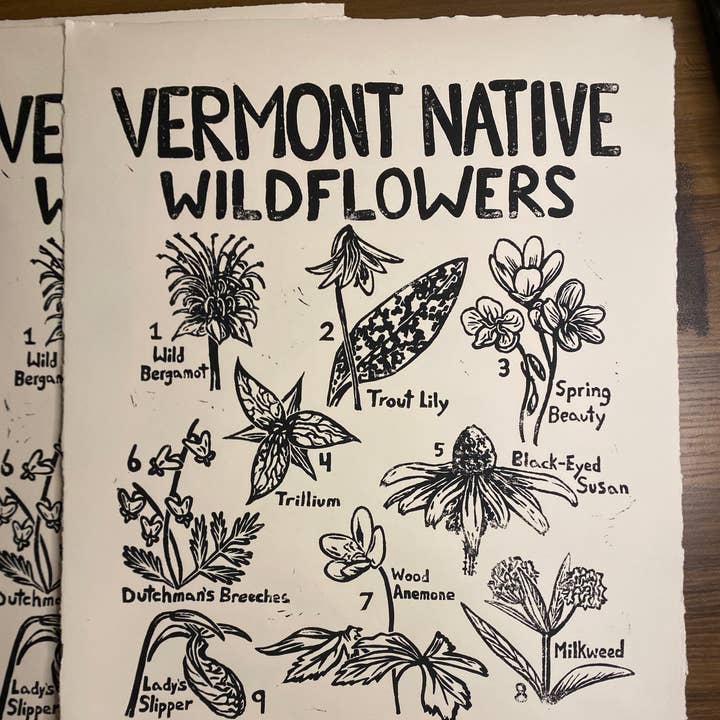 Vermont Native Wildflowers - Original Linocut Print for wholesale by Made By Cora Wren
