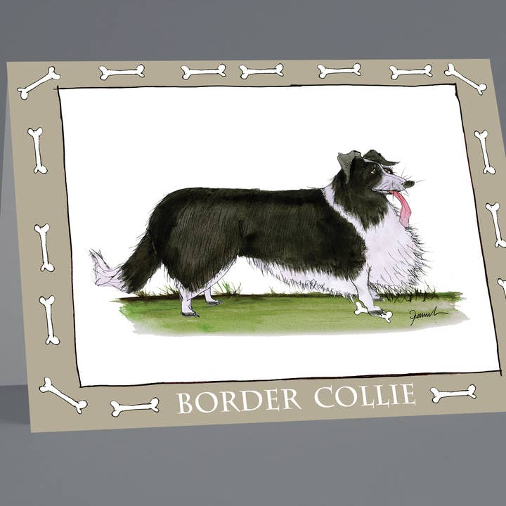 Border Collie greeting cards (pack of 6) for wholesale by Tony Fernandes Design