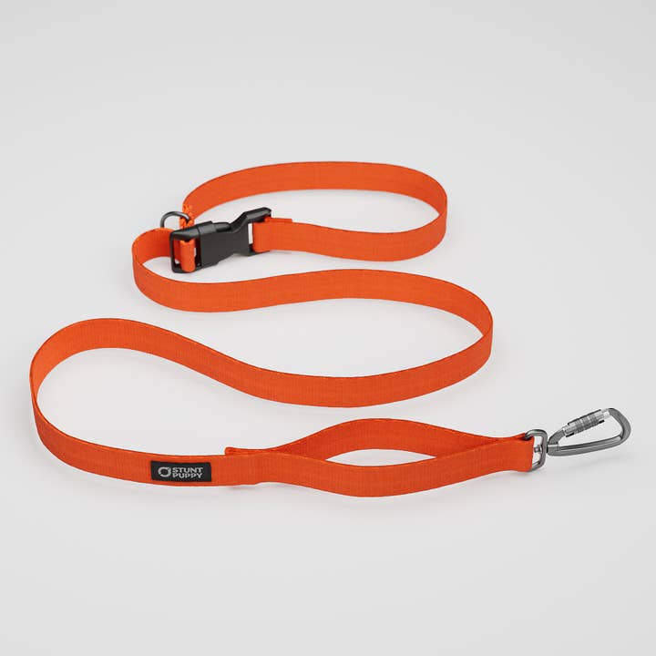 Clementine Monochrome Alltagsleine™ für den Großhandel von Stunt Puppy