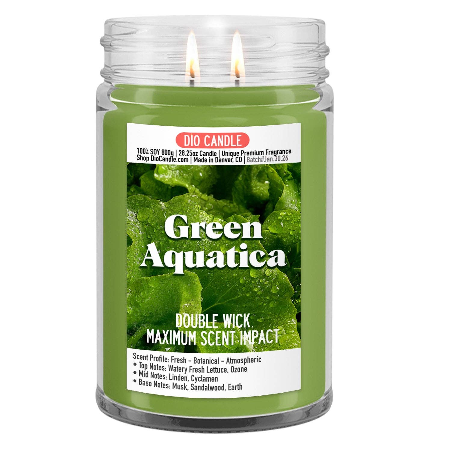 Dio Candle Company - Wholesale Jar/Filled Candle - Green Aquatica Candle3
