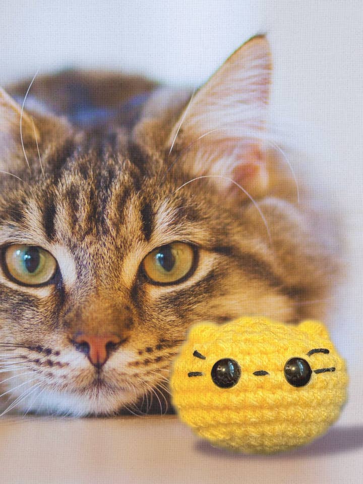 Giocattolo Artigianale con Erba Gatta Ponderato | Pippa il Chonk Chunkle Chunk Infuso con Botaniche di Miracle Nip per la vendita all'ingrosso da parte di Minou Le-Mew