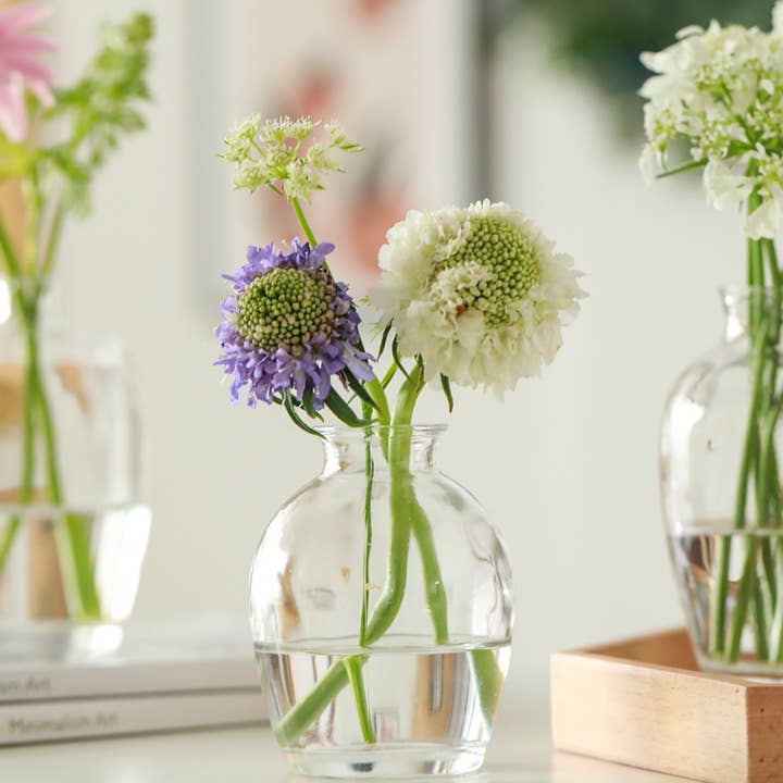 Klar (blanding) Hvide glasvaser til små blomster, enkel stil, klare for engroshandel på Faire4