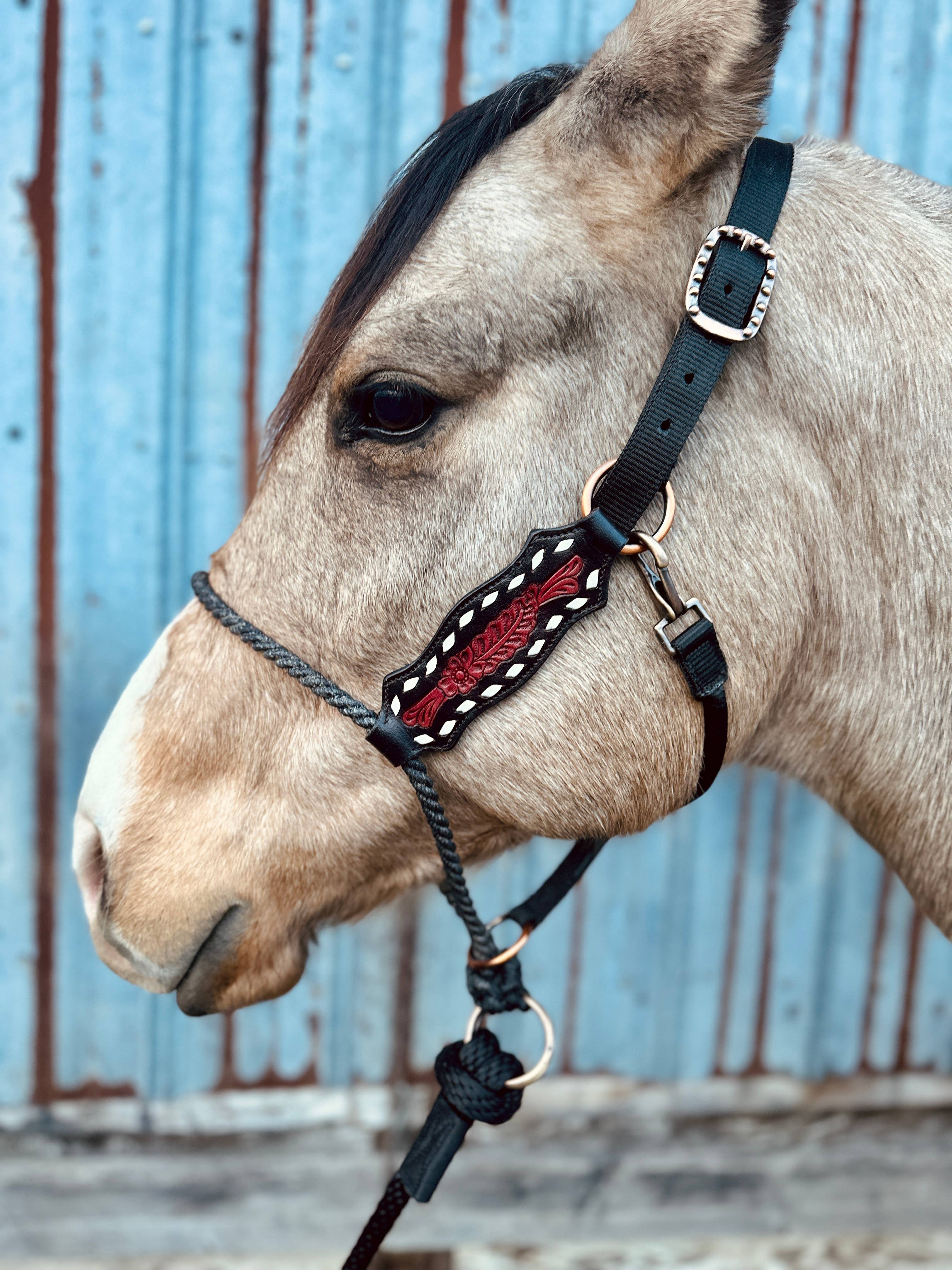 Schulz Equine - Wholesale Horseback Riding Gear - Lariat Nose Halter17