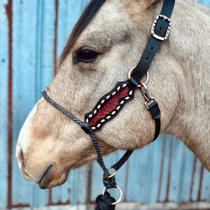 Schulz Equine - Wholesale Horseback Riding Gear - Lariat Nose Halter2