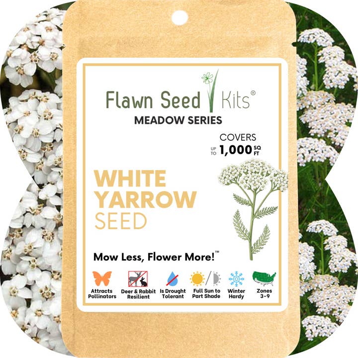 Flawn Seed Kits - Wholesale Plant Seeds - White Yarrow Seed Compostable Hanging Pouches7