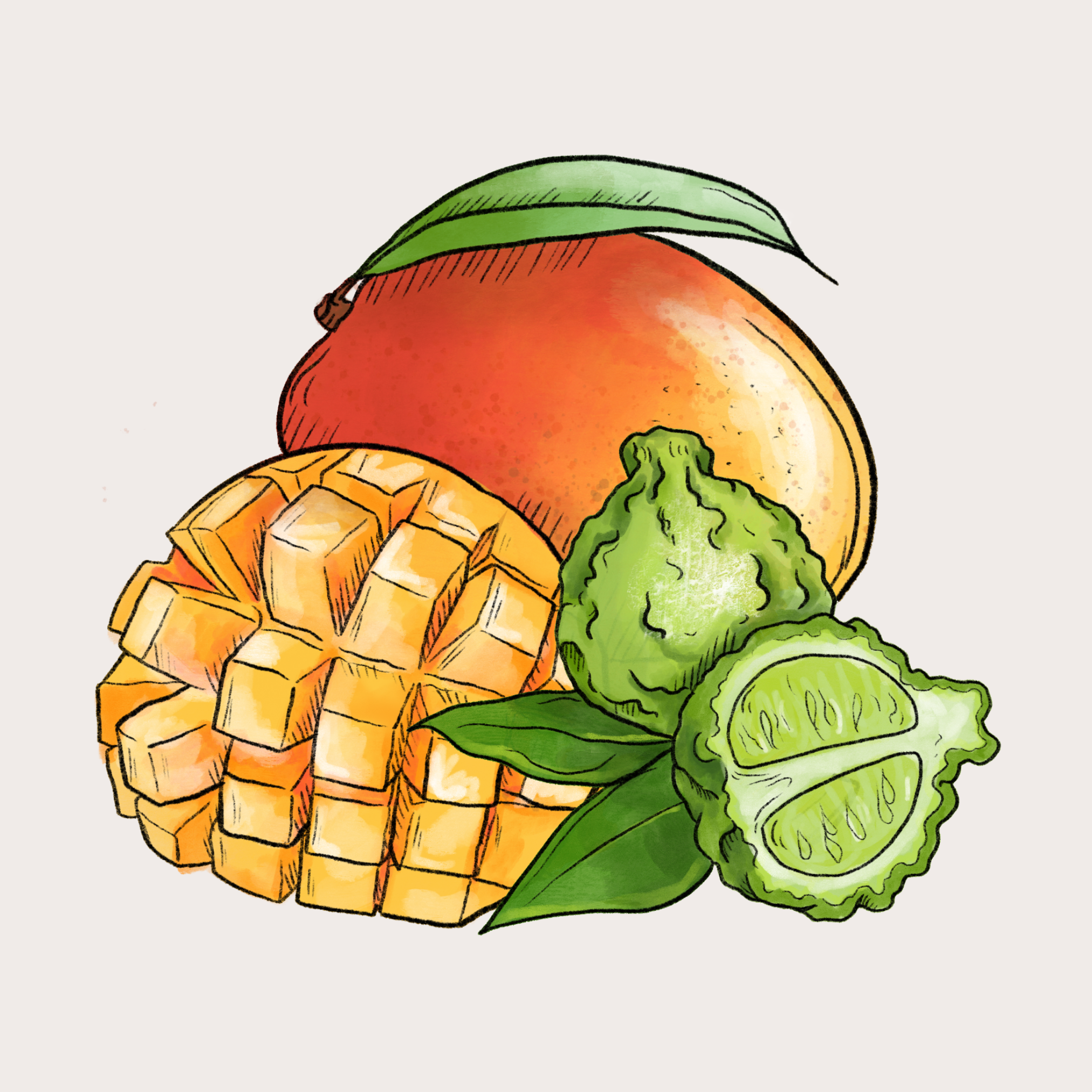 Red Hill Candle Co. - Wholesale Jar/Filled Candle - Thai Lime & Mango Candle2