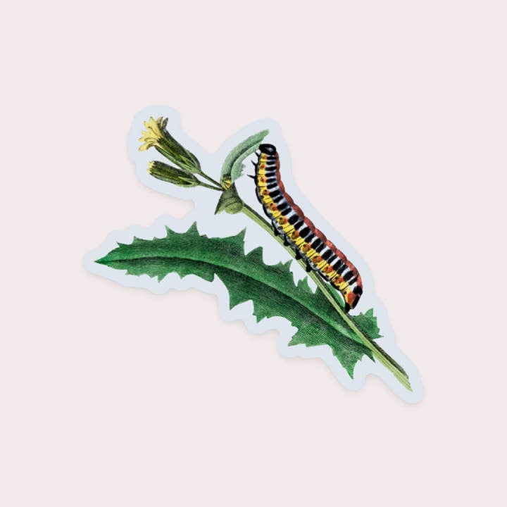 Stay Home Club – Großhandel Aufkleber – Nosy Caterpillar - Gap Filler Aufkleber
