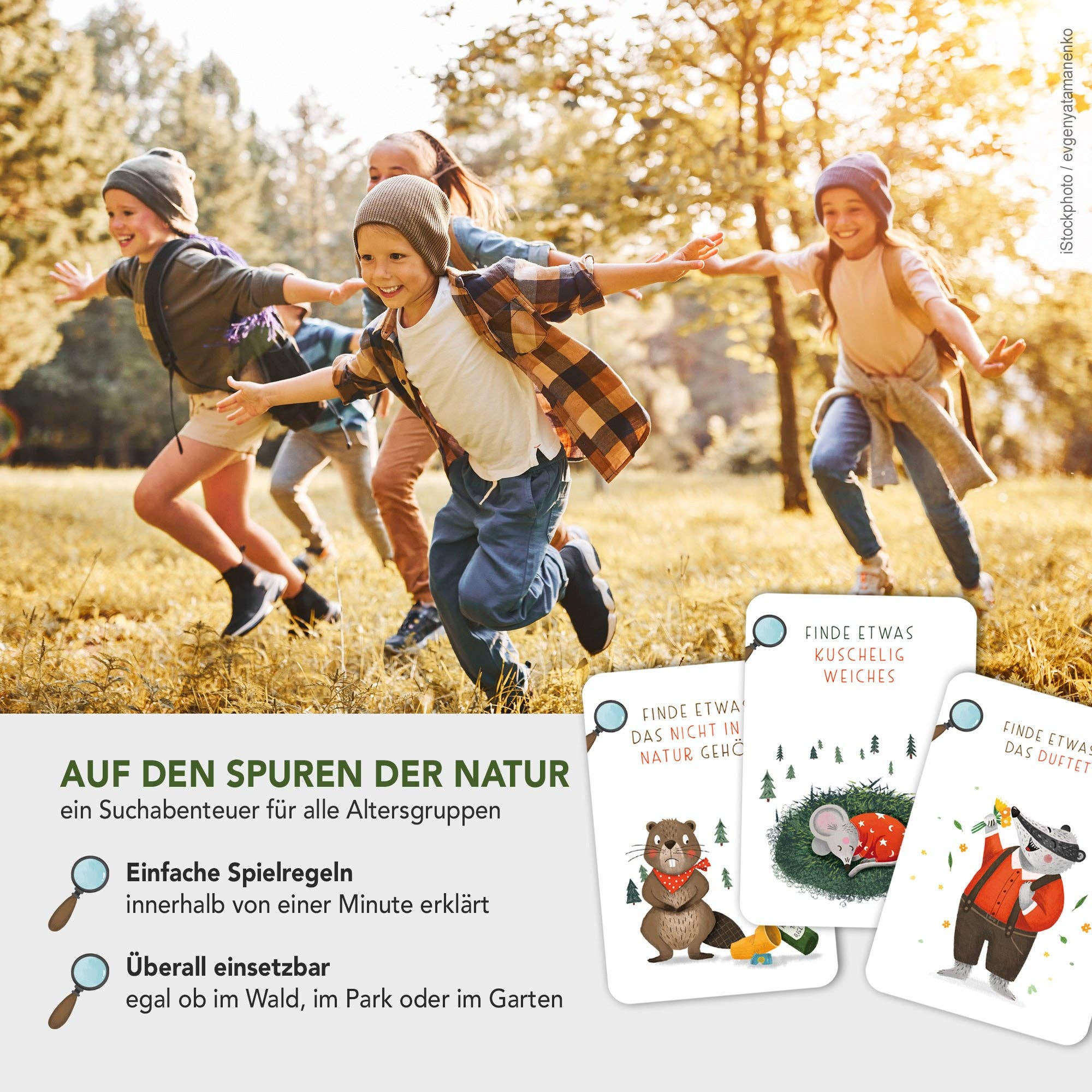 Rüsselfuchs - Wholesale Learning Cards - Kids & Baby - Explorer Cards for Kids "Search & Find"2