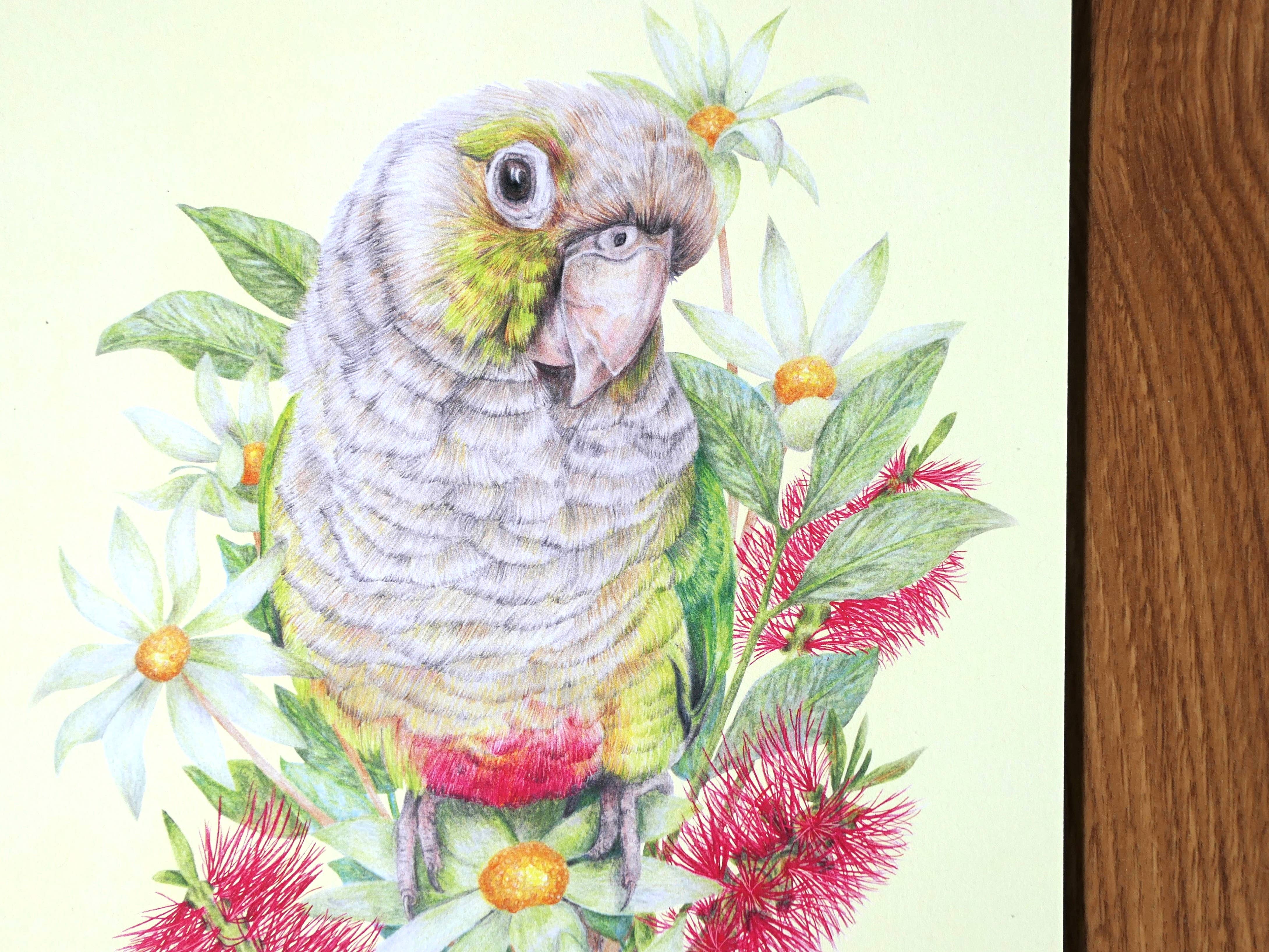 Kayla Reay Design - Wholesale Calendar - 2026 Parrots Calendar - Australian Artist Bird Art Planner6