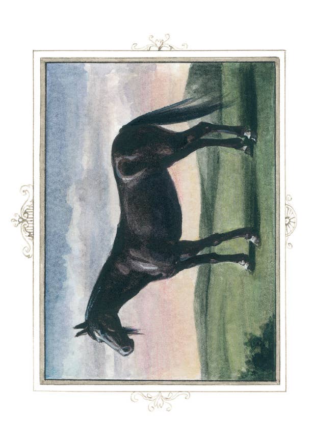 Bomo Art Budapest - Wholesale Everyday Greeting Card - Greeting Card + Envelope5