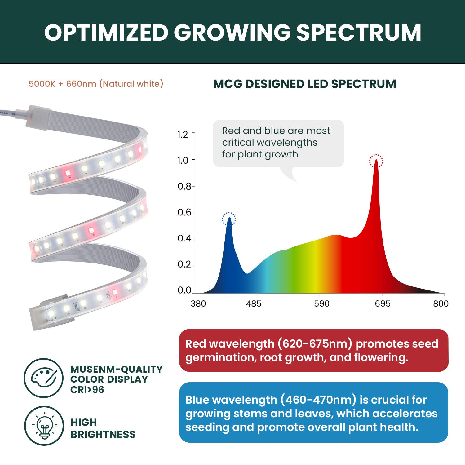 MY CITY GARDEN - Venta al por mayor Herramientas de jardín - FLEX GROW, luz LED de cultivo que se puede doblar 360°, 5000 K, juego de 3 piezas2