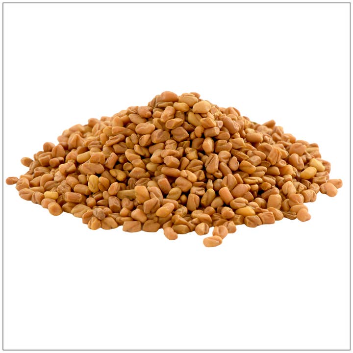 Alive Herbals - Wholesale Plant Seeds - Fenugreek Seeds0
