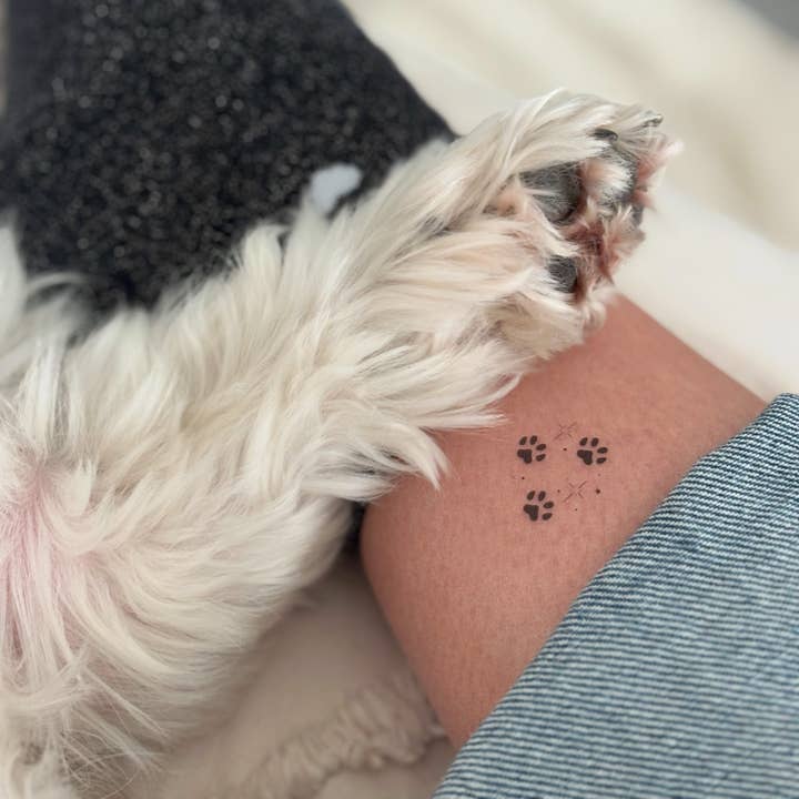 Sioou - Wholesale Temporary Tattoo - Pattes d'animaux x51