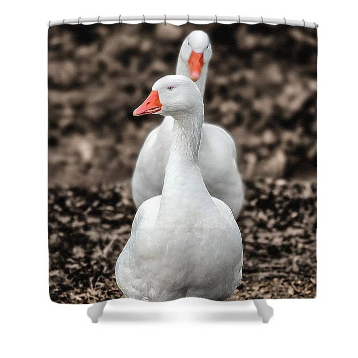 CORTINA DE CHUVEIRO DA PASSARELA DOS GANSOS ARTÍSTICOS por atacado de sorayadapuzzostore