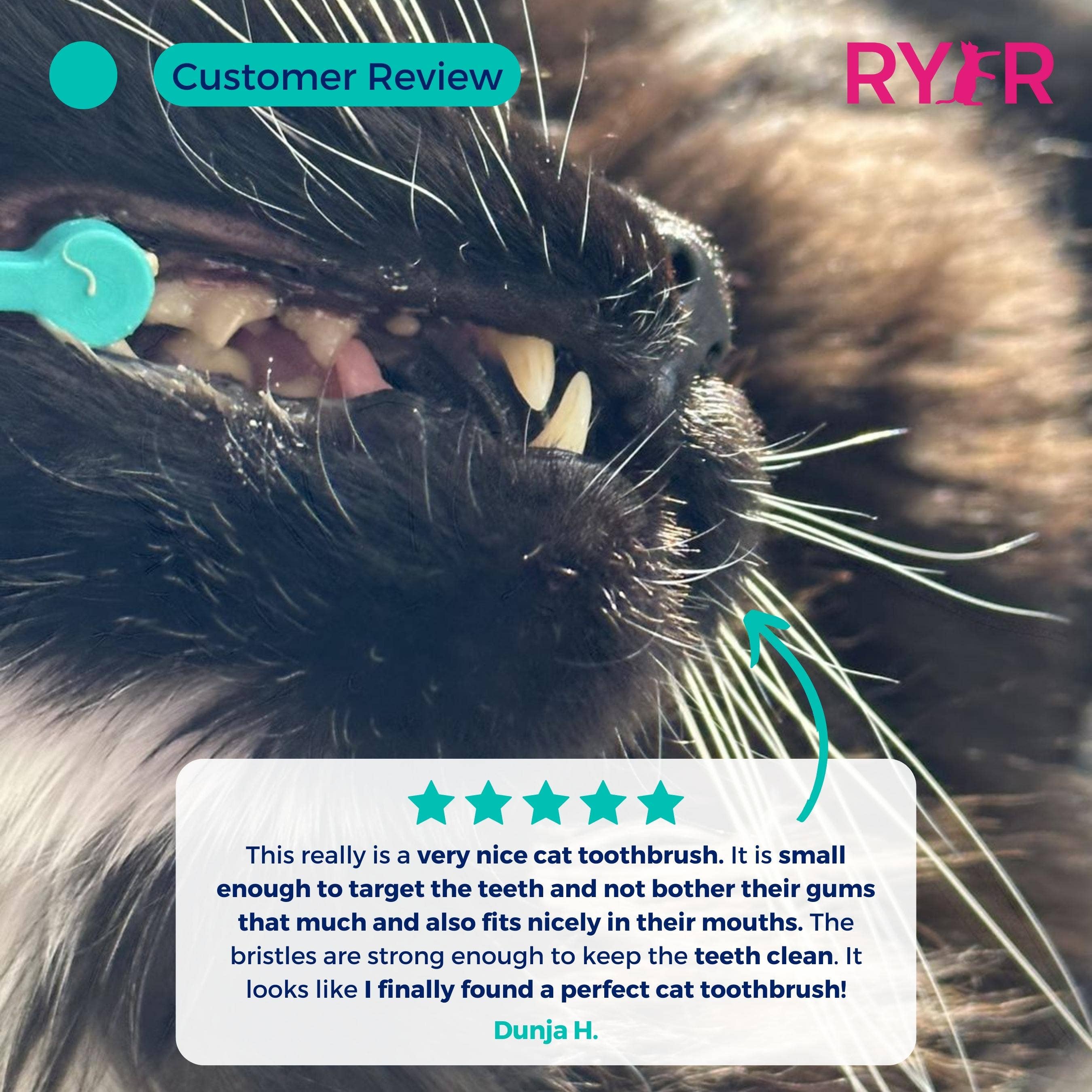 RYERCAT - Vente Brosse – chat et chien - Lot de brosses à dents à micro-tête et double face pour chat, couleurs mélangées !12