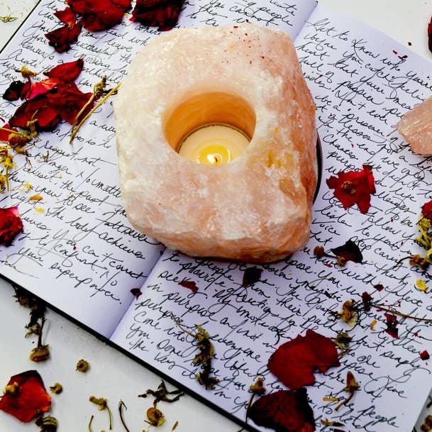 Petite Petitions® - Venta al por mayor Diario/agenda - Diario de manifestación con páginas rayadas4