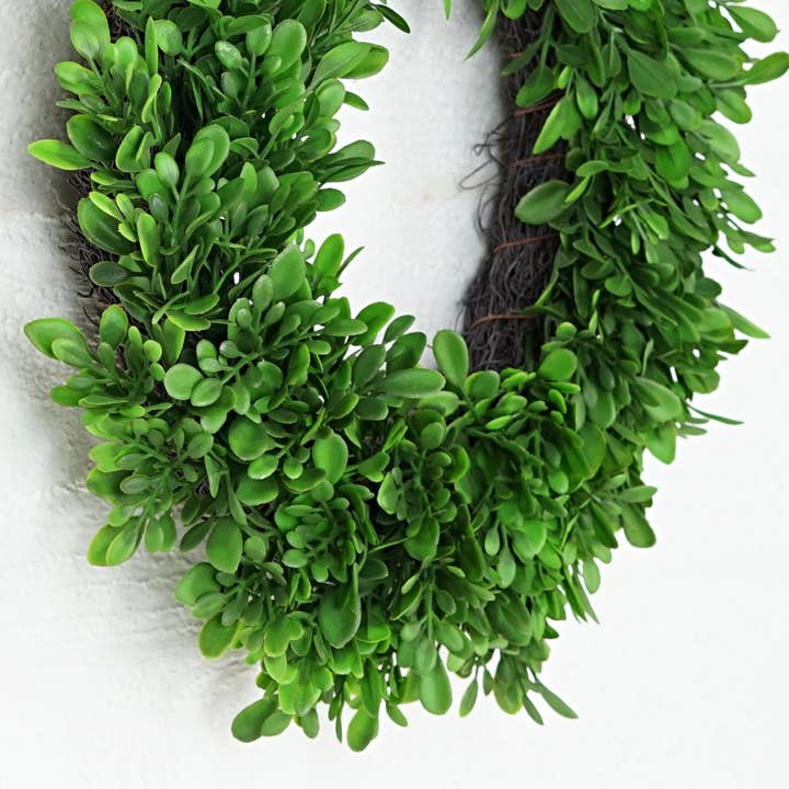 Impressive Enterprises, Inc. - Wholesale Wreath - 31781-12in(6.5) Wreath-Evergreen Boxwood5