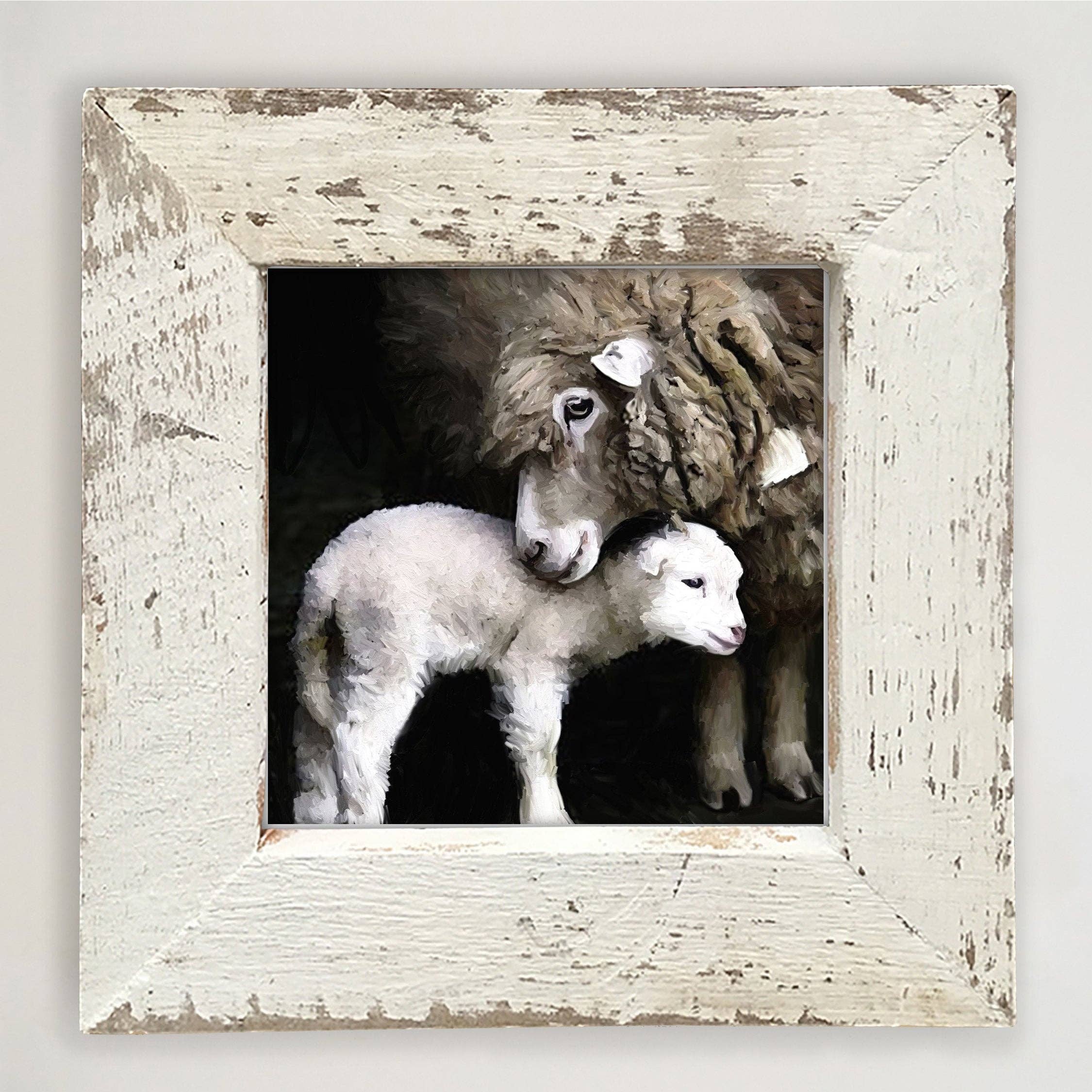 ginger blue - Wholesale Art Print - New born sheep4