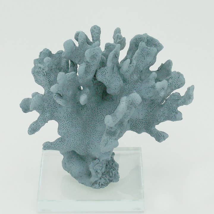 Indigo Ridge Coral for wholesale by Modern Coastal by Contrast Inc.