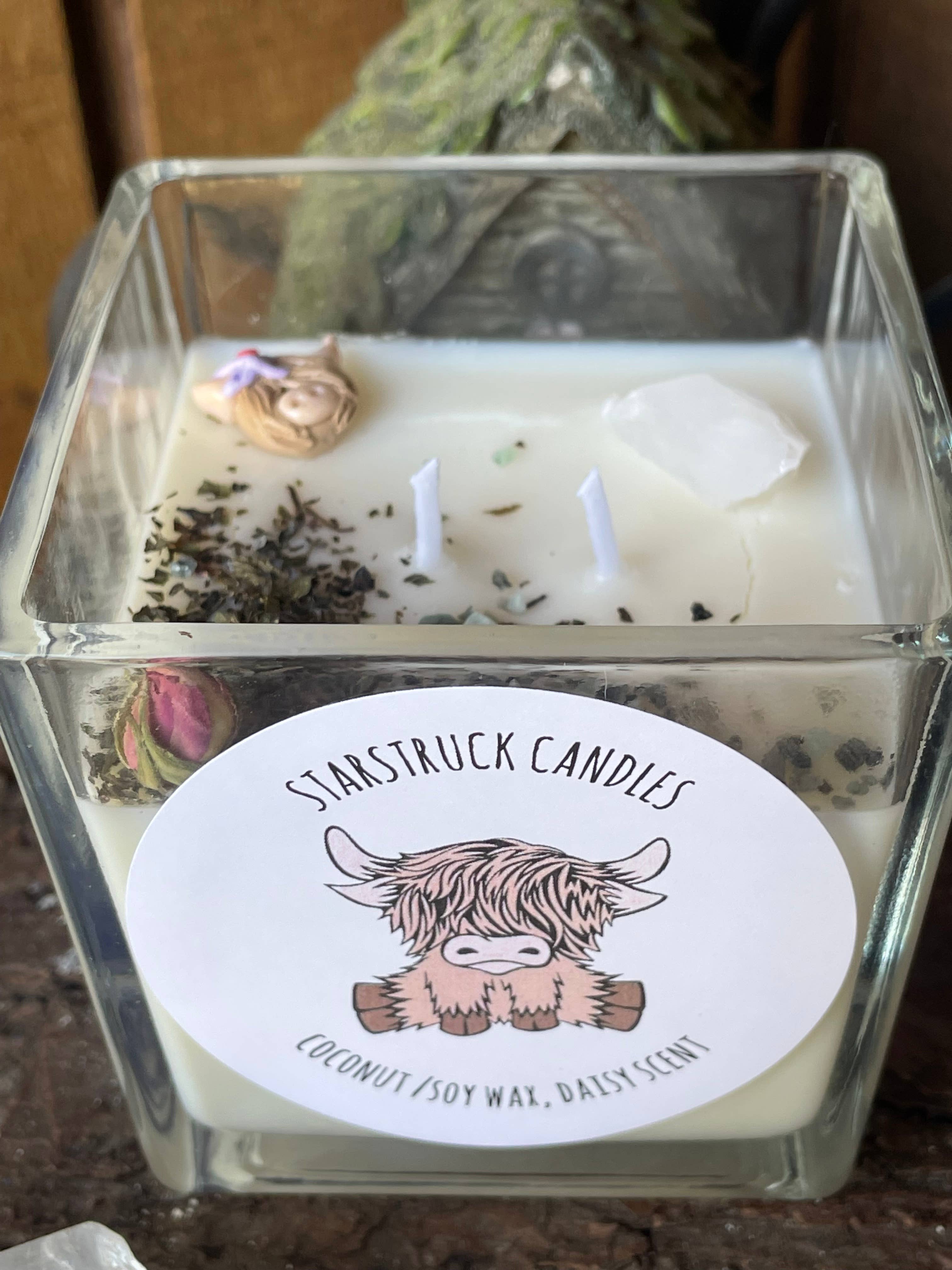 Starstruck Candles - Wholesale Jar/Filled Candle - Highland Cow Spring Candle3