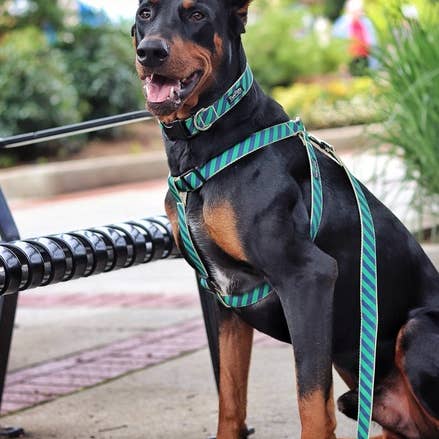 Arnés de corbata Prepster Rip para venta al por mayor de Paw Paws USA