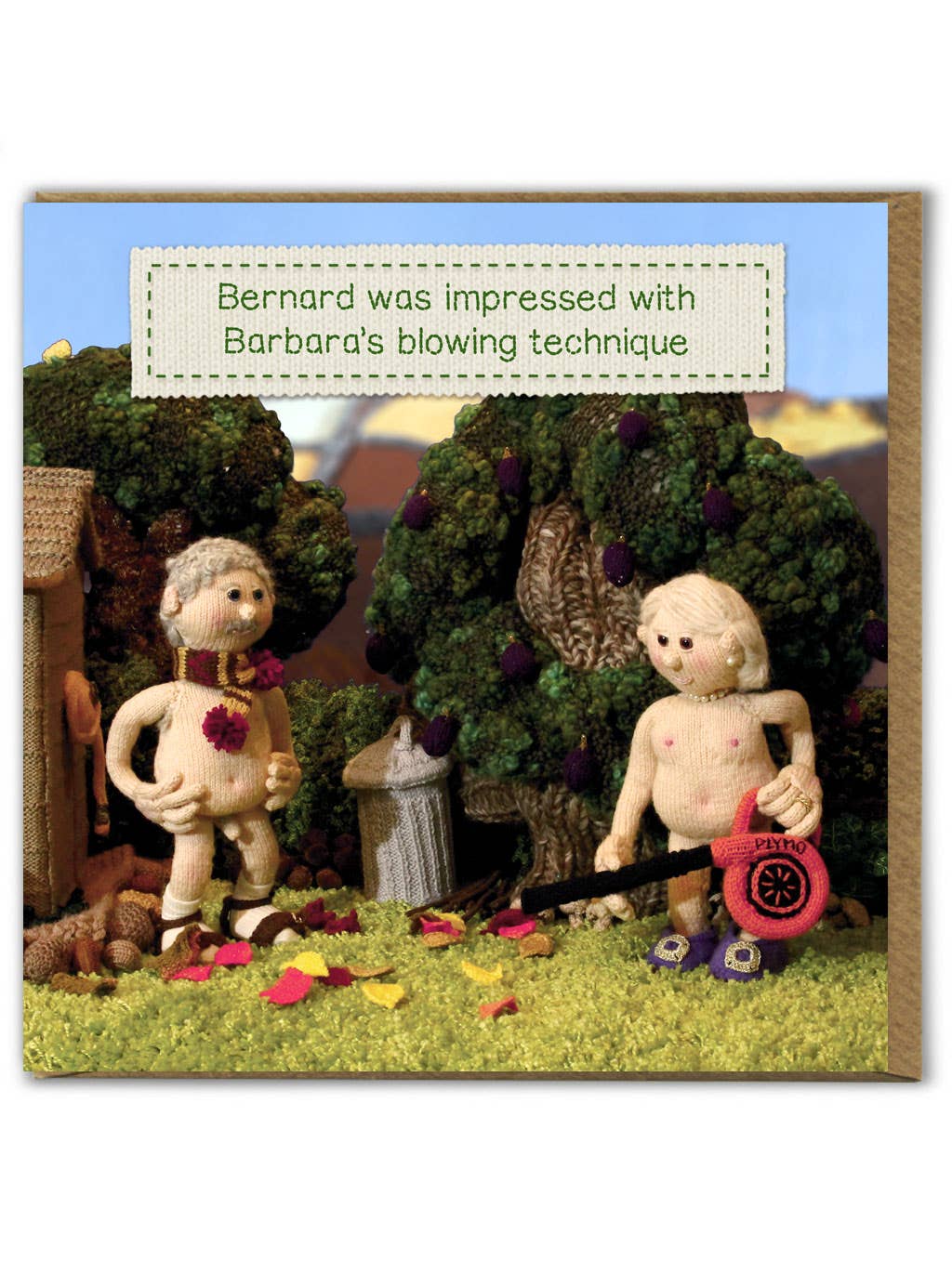 Brainbox Candy - Wholesale Everyday Greeting Card - Funny Birthday Card - Blowing Technique by Nudinits0