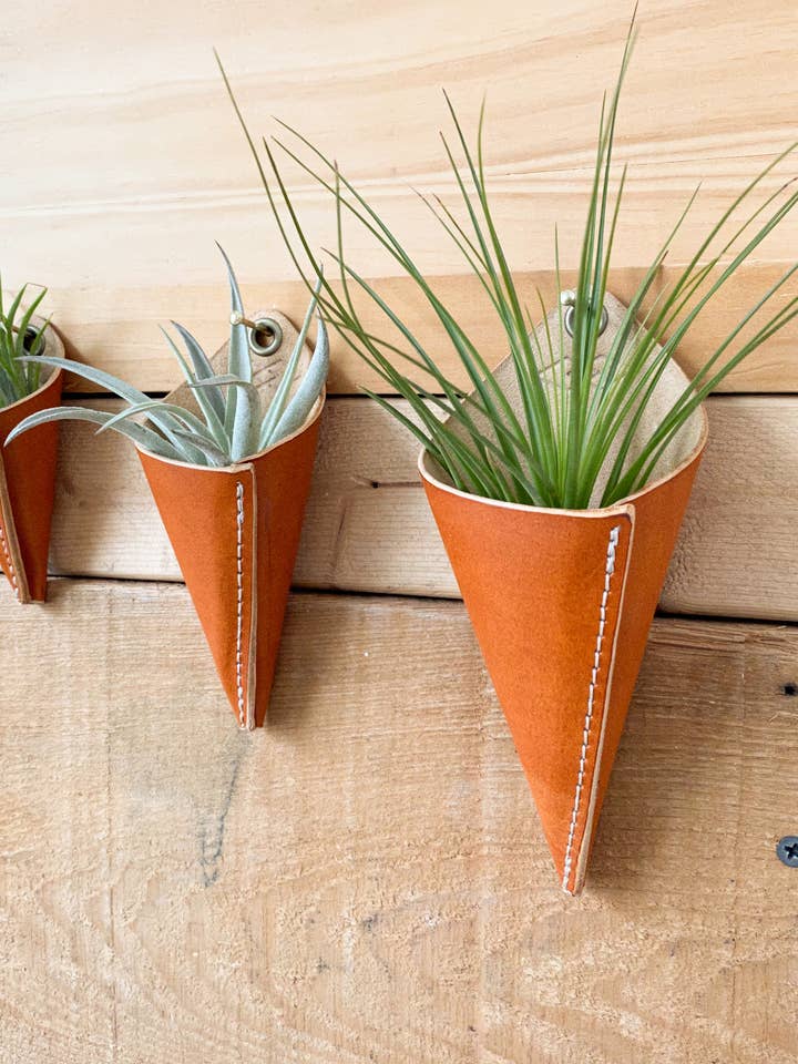 Cono Air Plant - Set di 3 per la vendita all'ingrosso da parte di Gemini Handmade