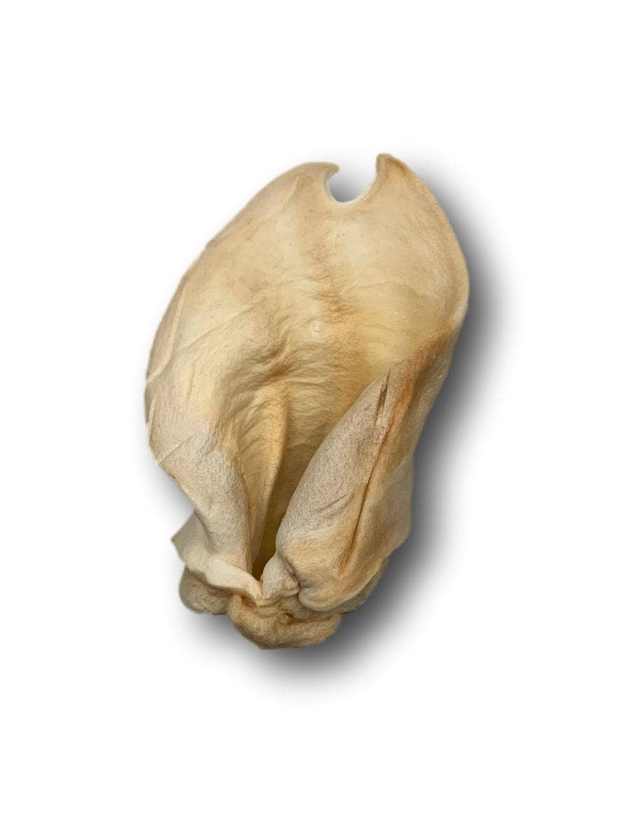 Healthy Dog Chews - Wholesale Pet Treats - Dog - Cow Ears Regular (CE0101NR)1