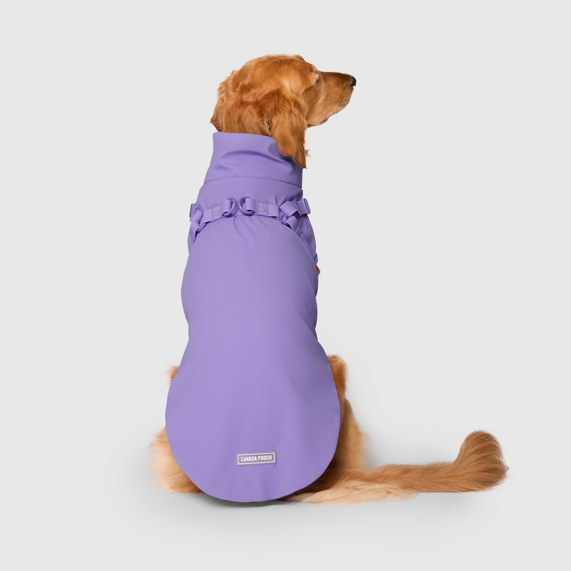 Canada Pooch - Vente Imperméable – chien - Imperméable harnais pour chien - manteau de pluie10