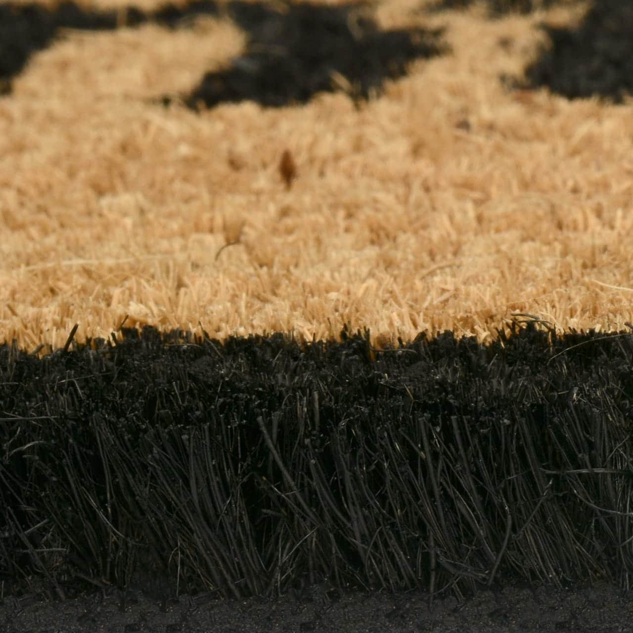 Wholesale Gifts Tomorrow – wholesale Door mat – Shut The Front Door Funny Coir Doormat With Pvc2